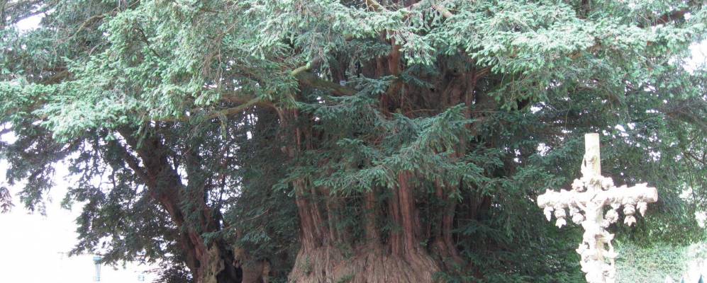 
            Фотография Ля-Ланд-Патри