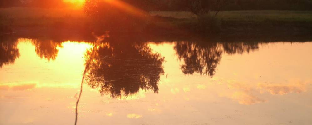 
            Фотография Песков