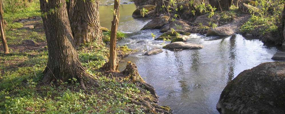 
            Фотография Сказинцы