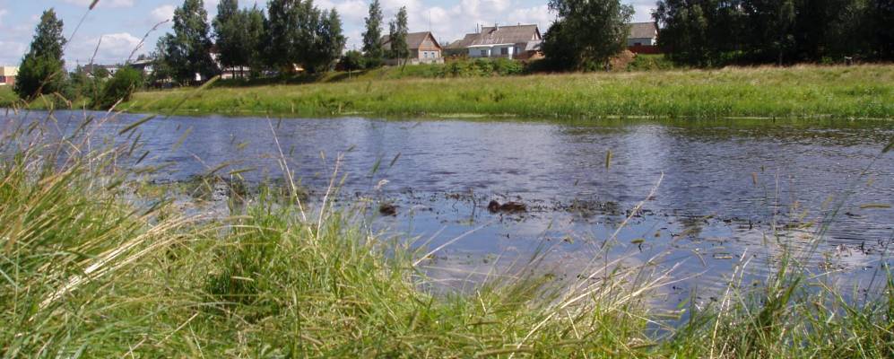 
            Фотография деревни Малые Липки