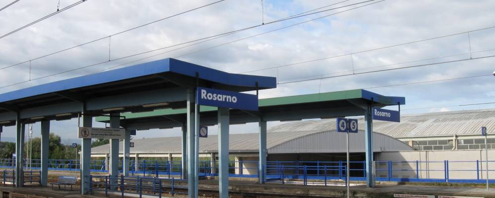 
            Фотография Розарно