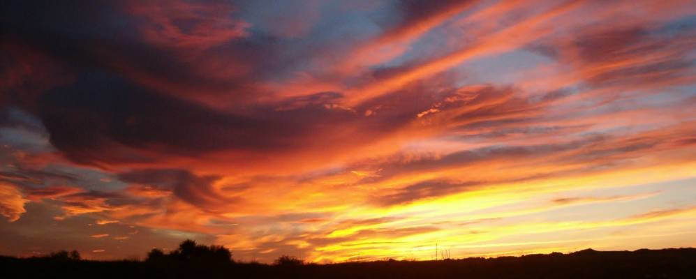 
            Фотография Чусены