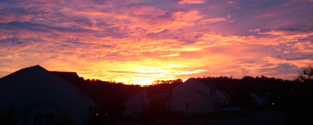 
            Фотография Севен Филдса