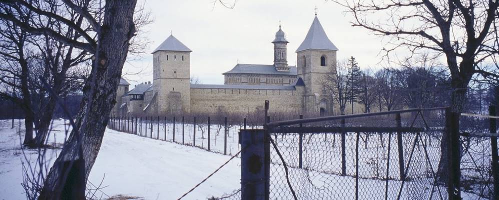 
            Фотография Драгомирны