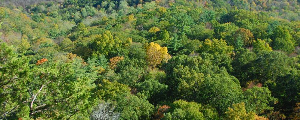 
            Фотография Тиникама