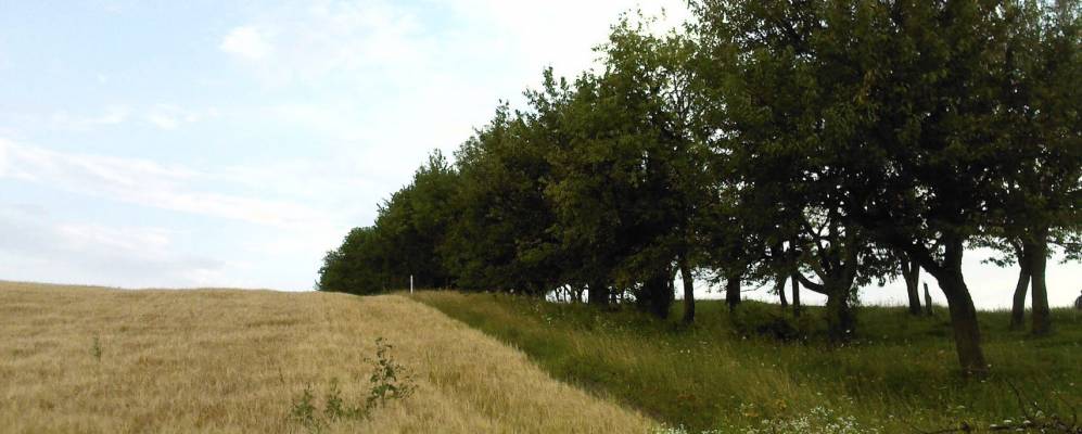 
            Фотография Новой Гребли