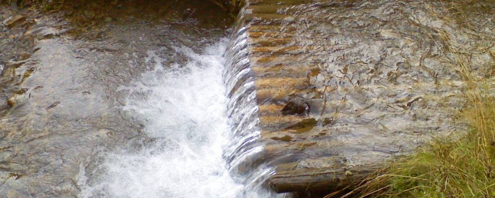 
            Фотография Лопушного