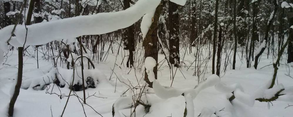 Фотография агрогородка Величковичи