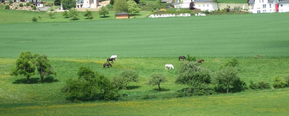 
            Фотография Veitsrodt