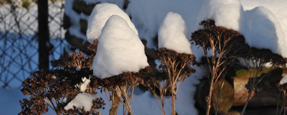 Фотография Чернухи
