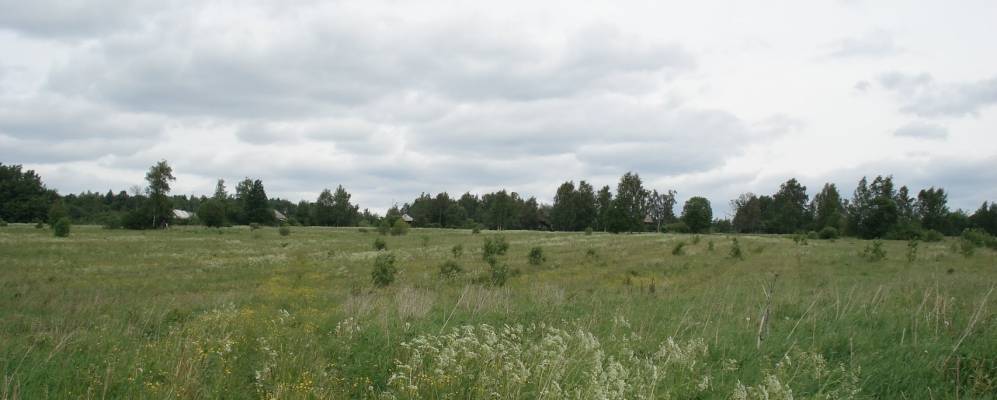 
            Фотография Хламотино