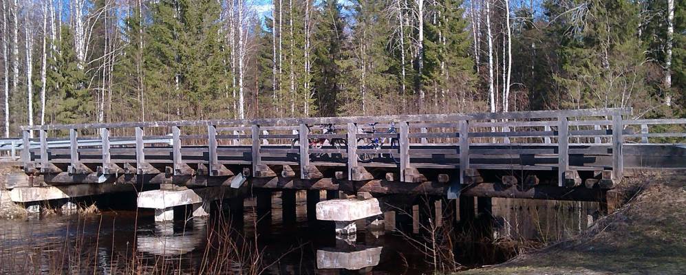 Фотография Зелёной