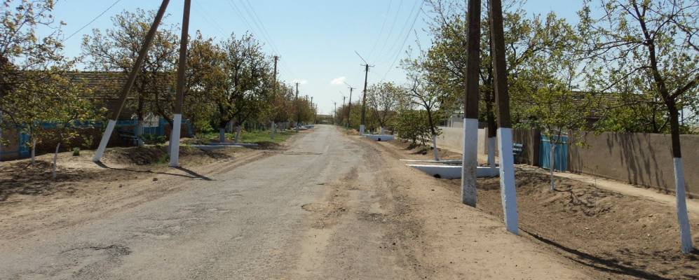 Фотография Траповки