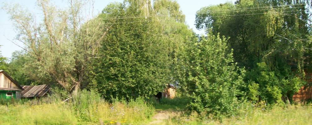 Фотография Андрейчищево