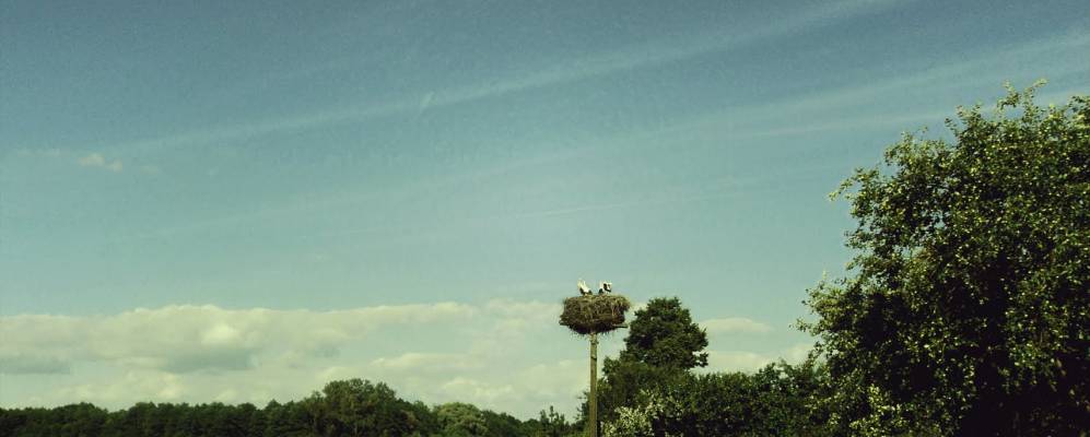 Фотография деревни Толстики