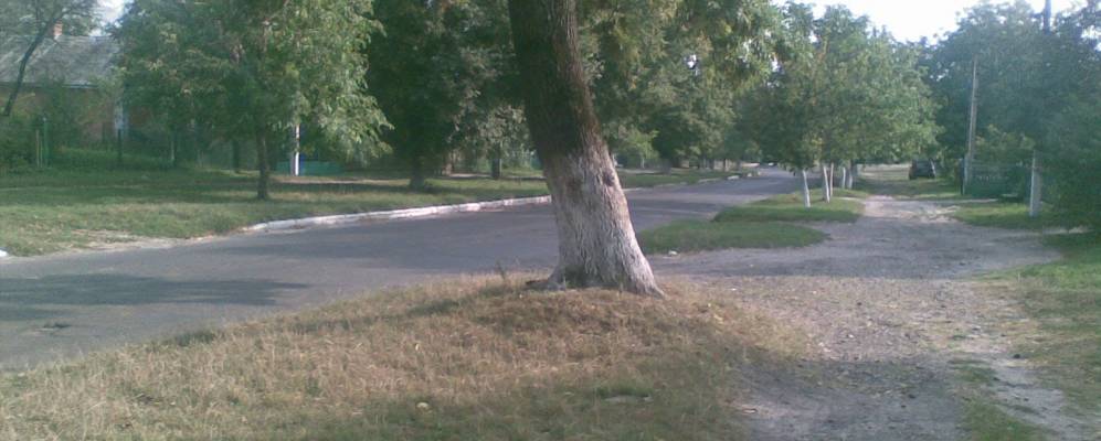 
            Фотография Поторицы