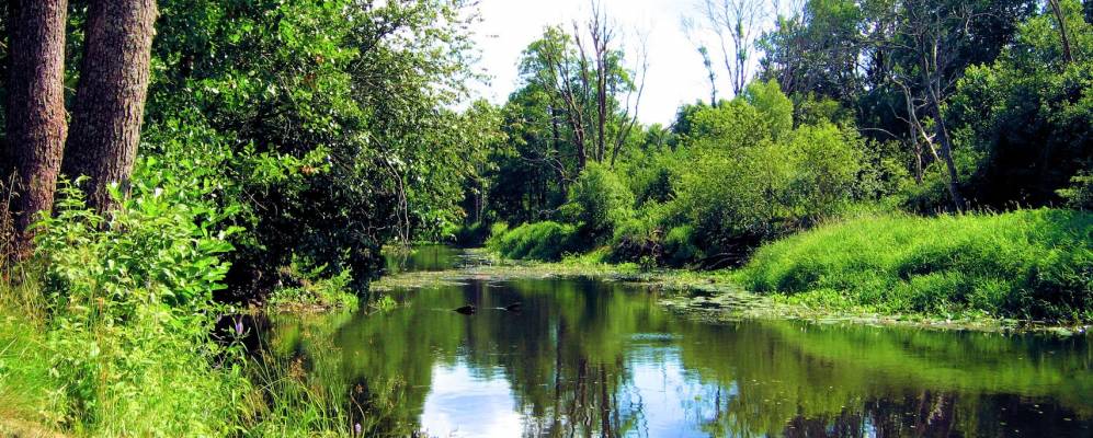 Фотография Заберезино