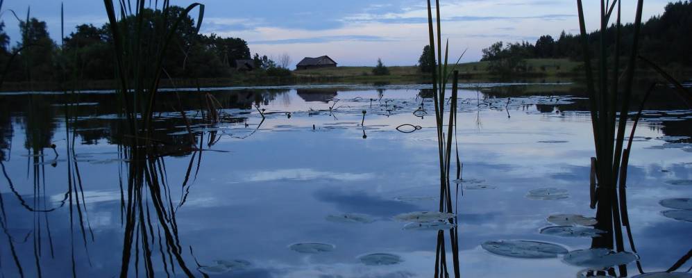 
            Фотография Корнево