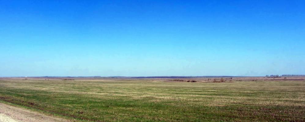 
            Фотография Тимофеевки