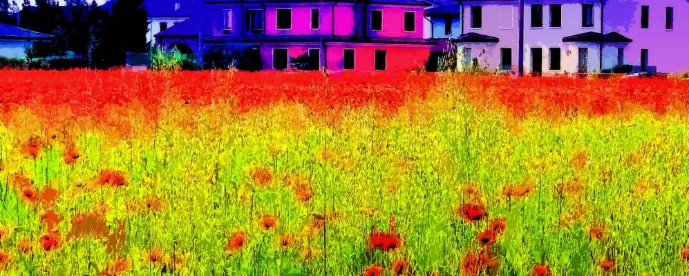 
            Фотография Сангинетто