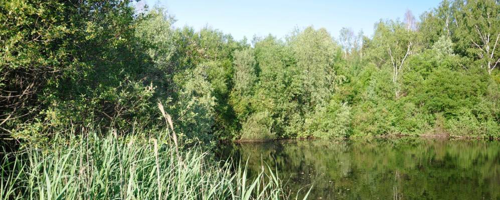 Фотография деревни Прокшеничи