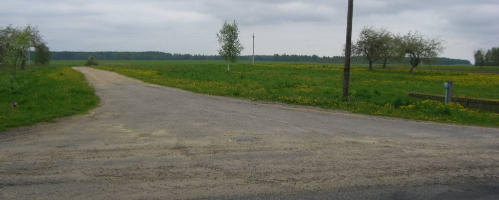 
            Фотография Больших Бороденок