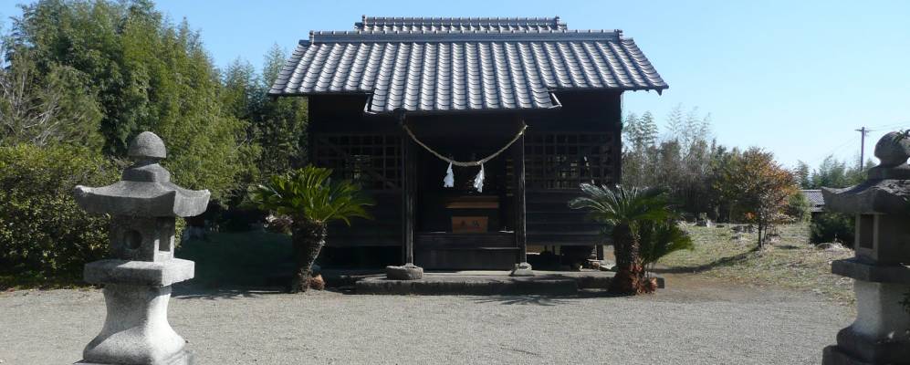 
            Фотография Цумы