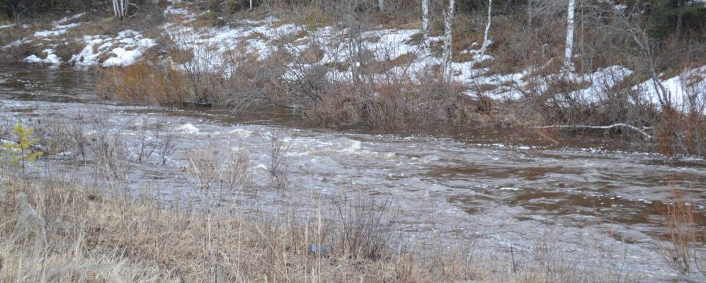 
            Фотография При станции Чёрная