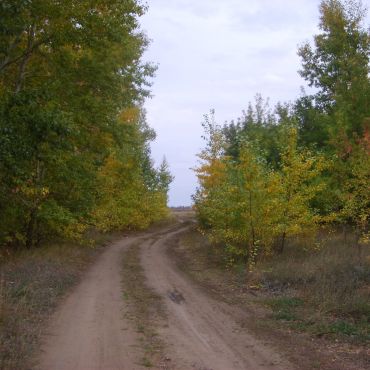 Максимовка