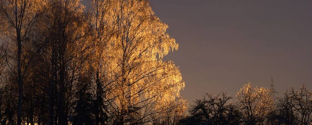 
            Фотография Магштадта