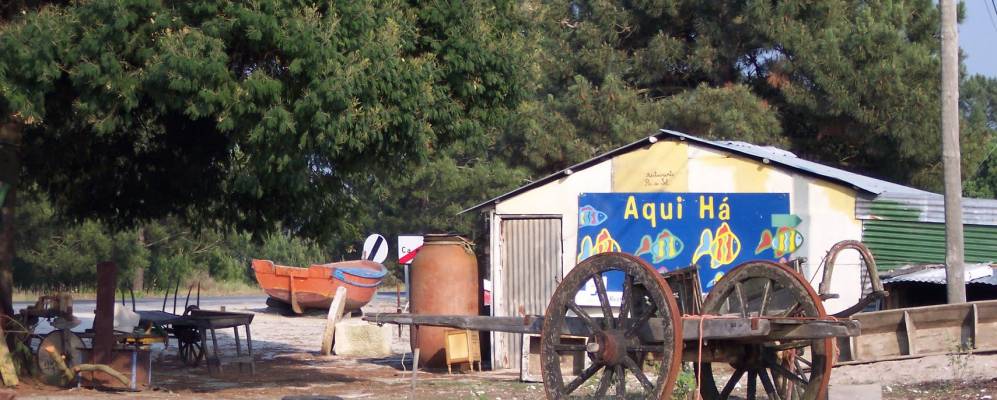 
            Фотография Грандола