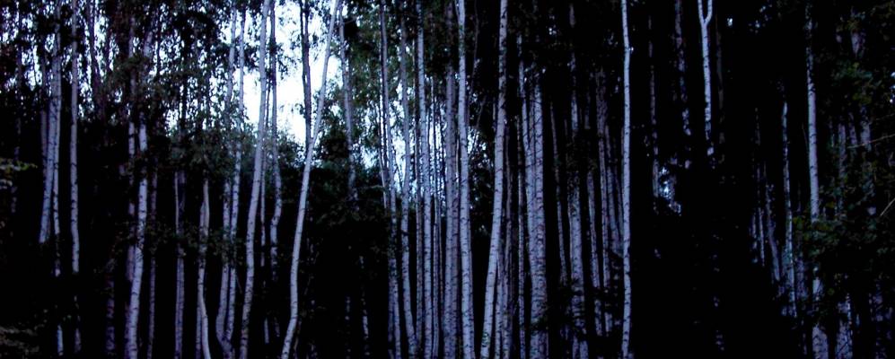 Фотография Усть-Пизи