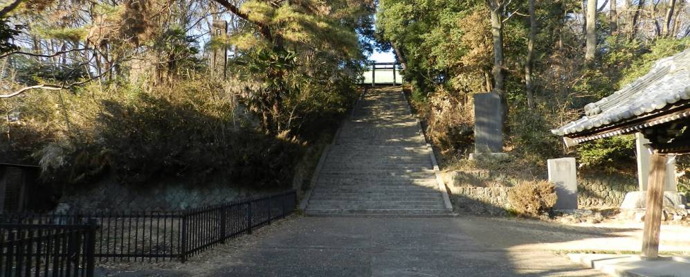 
            Фотография Оты