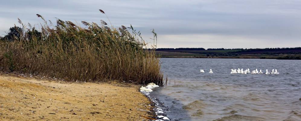 
            Фотография Марье-Дмитровки