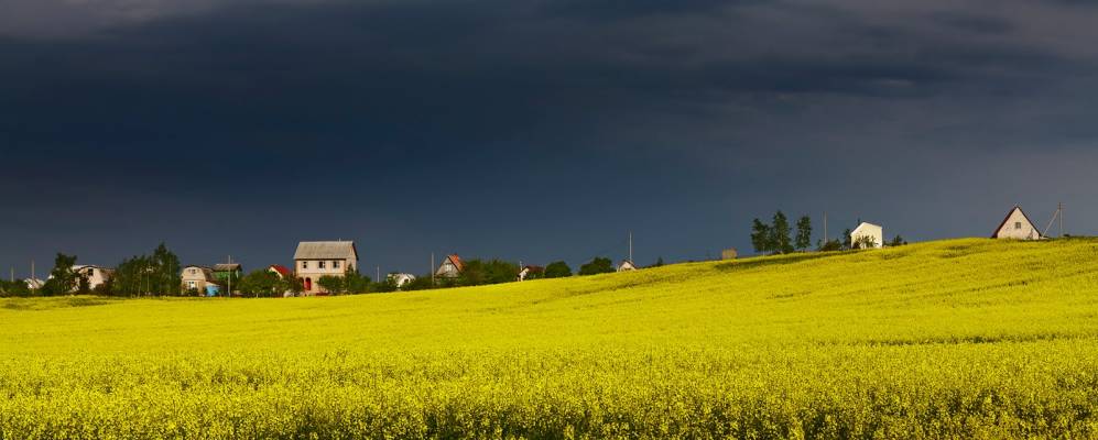 Фотография Лебединца