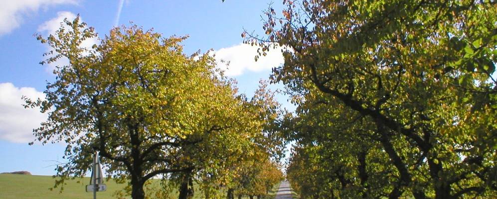 Фотография Бездекова (Окрес Йиглава)