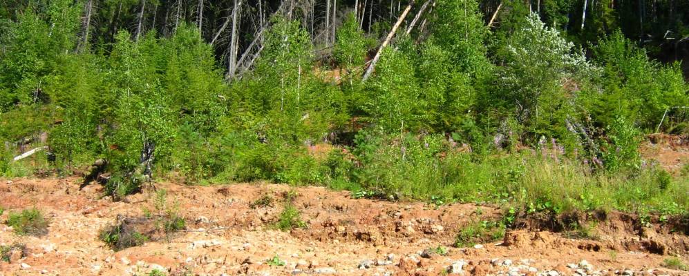 Фотография Селюнинцев