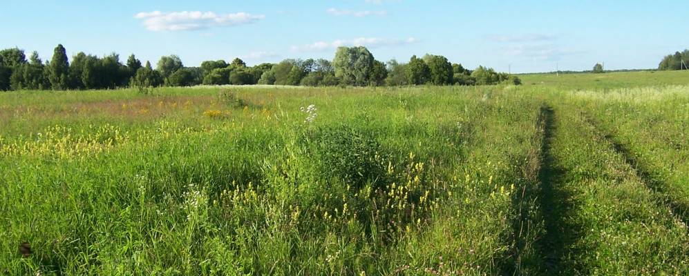 Фотография деревни Чертень