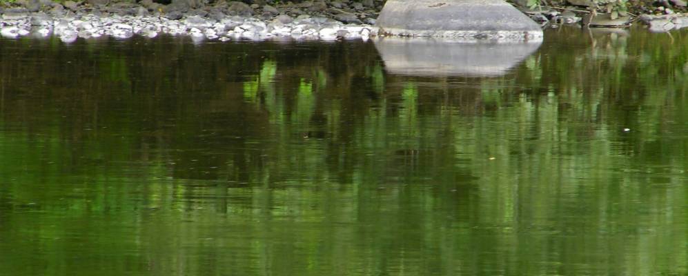 
            Фотография Сент Фрэнсиса