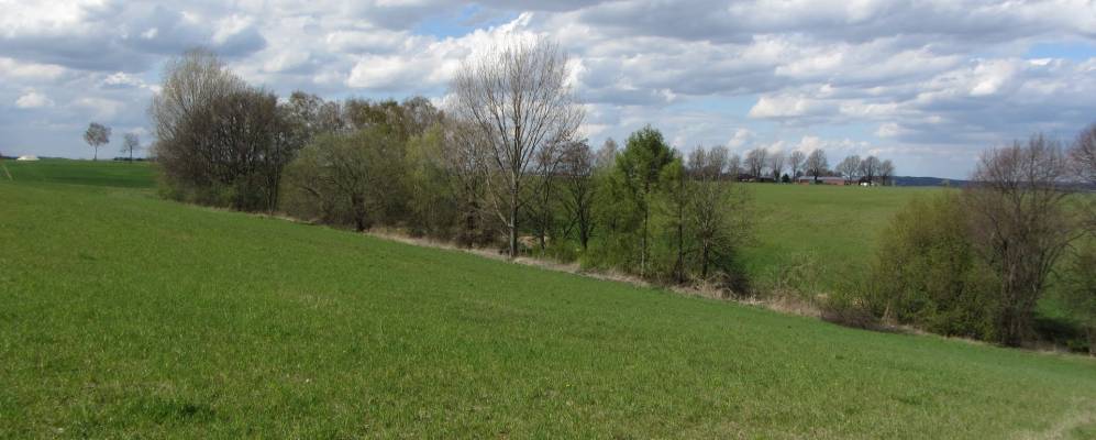 
            Фотография Хорнбурга