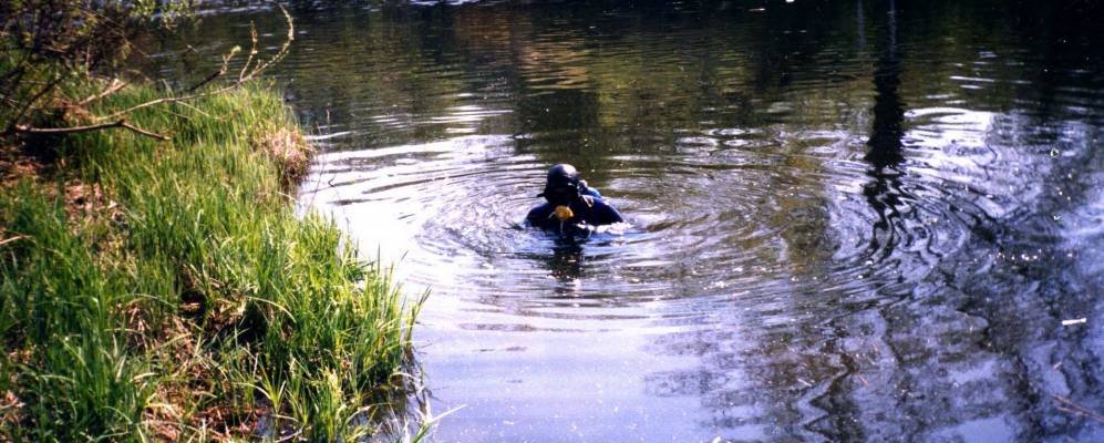 
            Фотография Ильинки