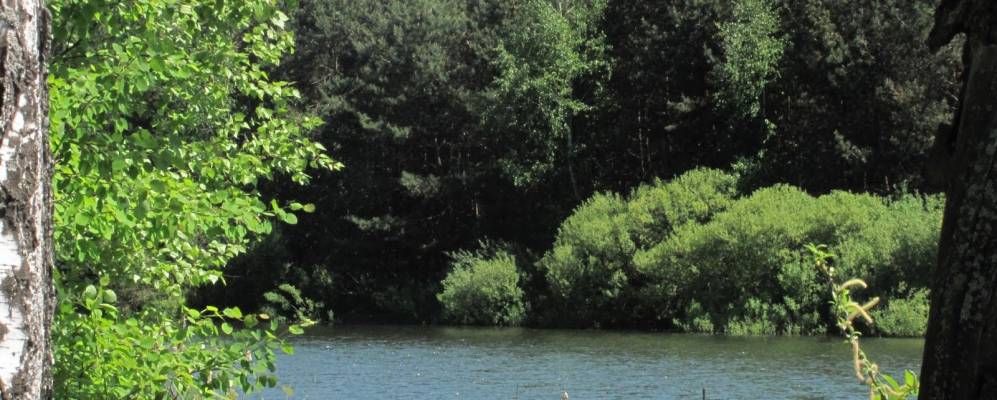 
            Фотография Масальской