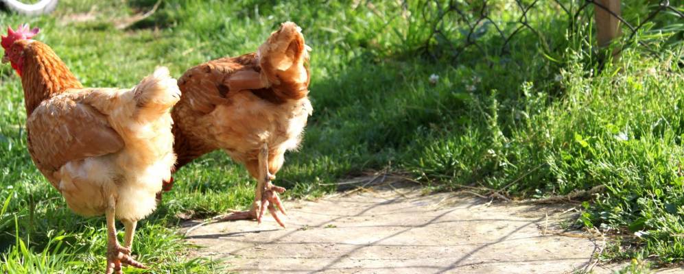 Фотография Шильцово