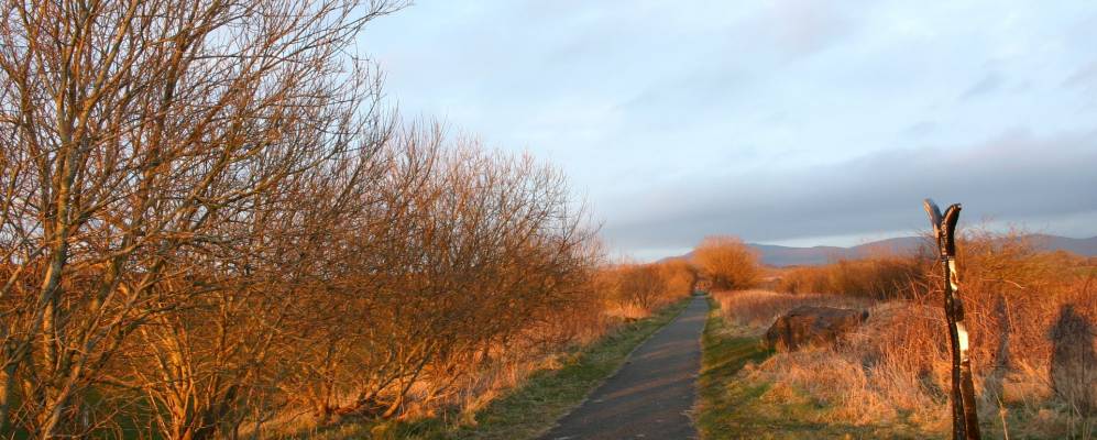 Фотография Фрайзингтона