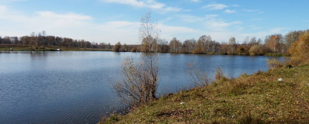 
            Фотография Витаминки