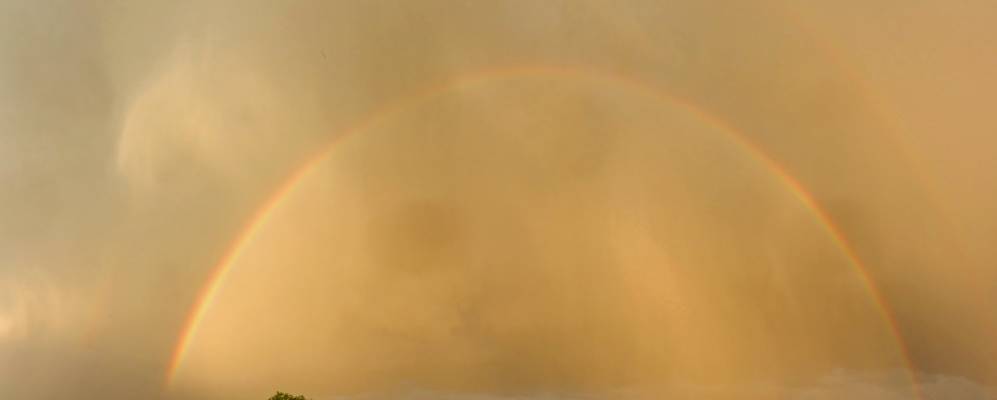 
            Фотография Фомбьо