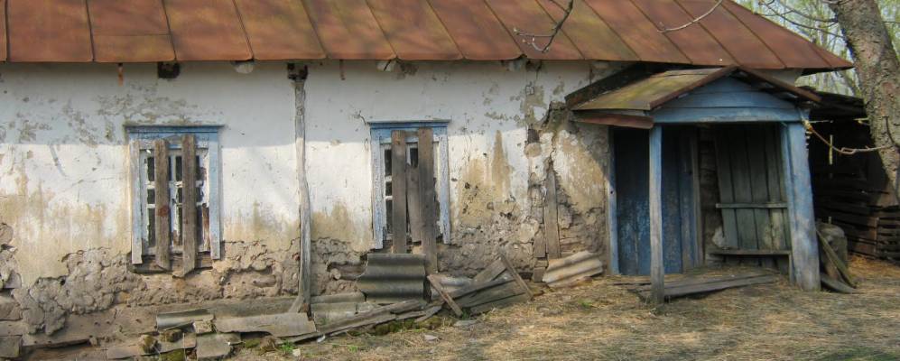 
            Фотография Гужовки