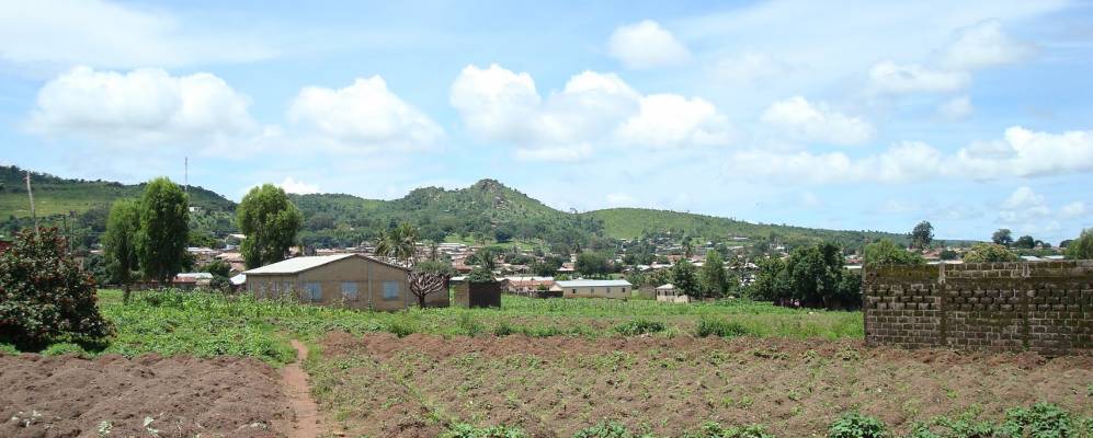 
            Фотография Бафило