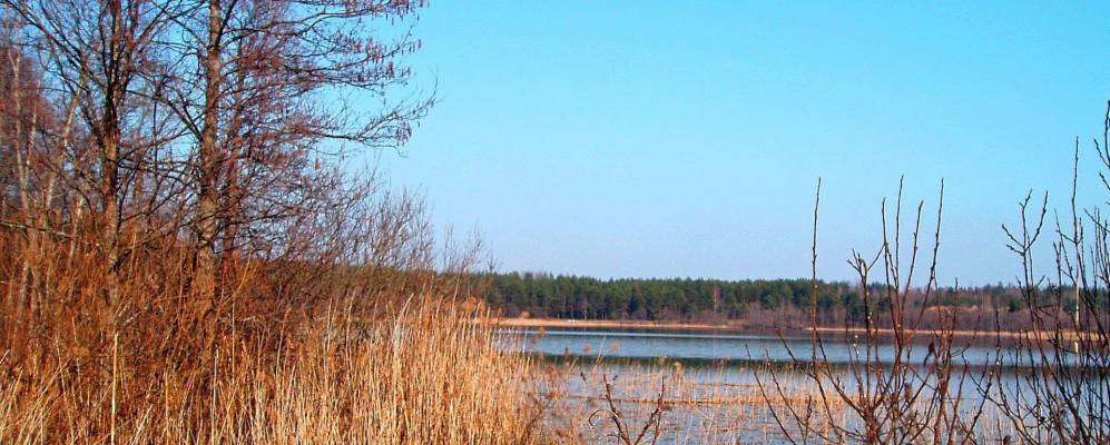 Фотография Стешутино