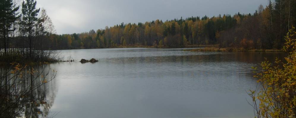 
            Фотография Захаровки
